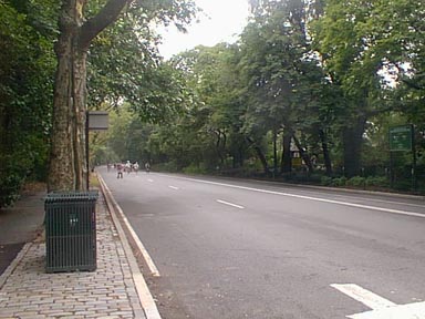 Central Park